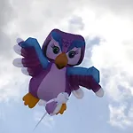מלון La Playa 2*